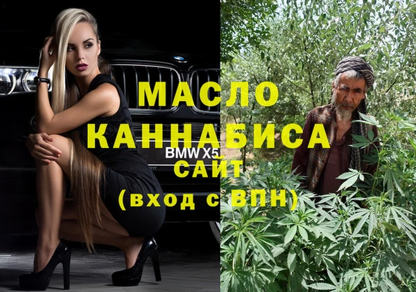 индика Рославль