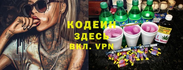 индика Рославль
