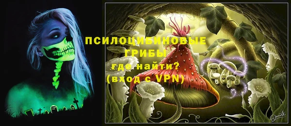 индика Рославль