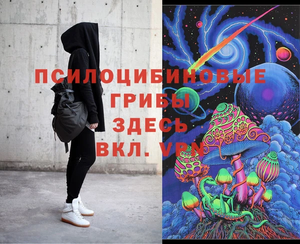 индика Рославль
